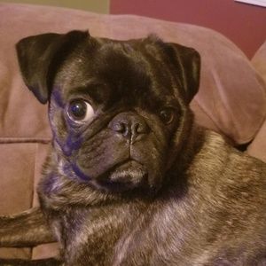 Meet your Posher, Sean